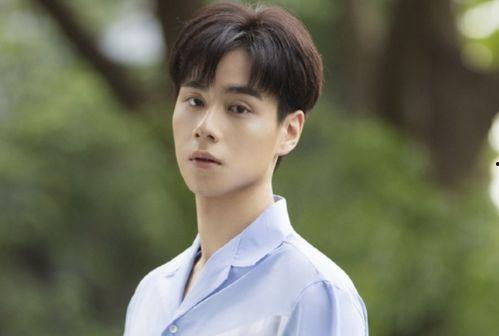 橘生淮南演员表,实力派演员阵容演绎青春成长传奇